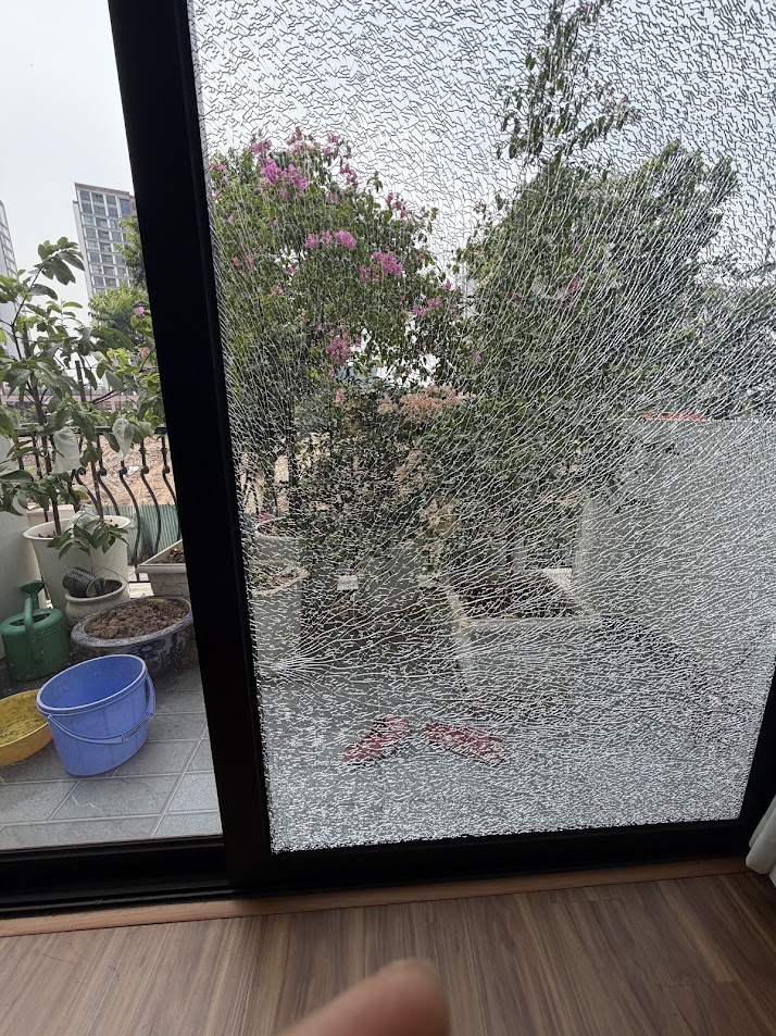 Cửa kính cường lực ban công bị nứt vỡ hoàn toàn nhìn ra chậu cây và hoa ngoài trời